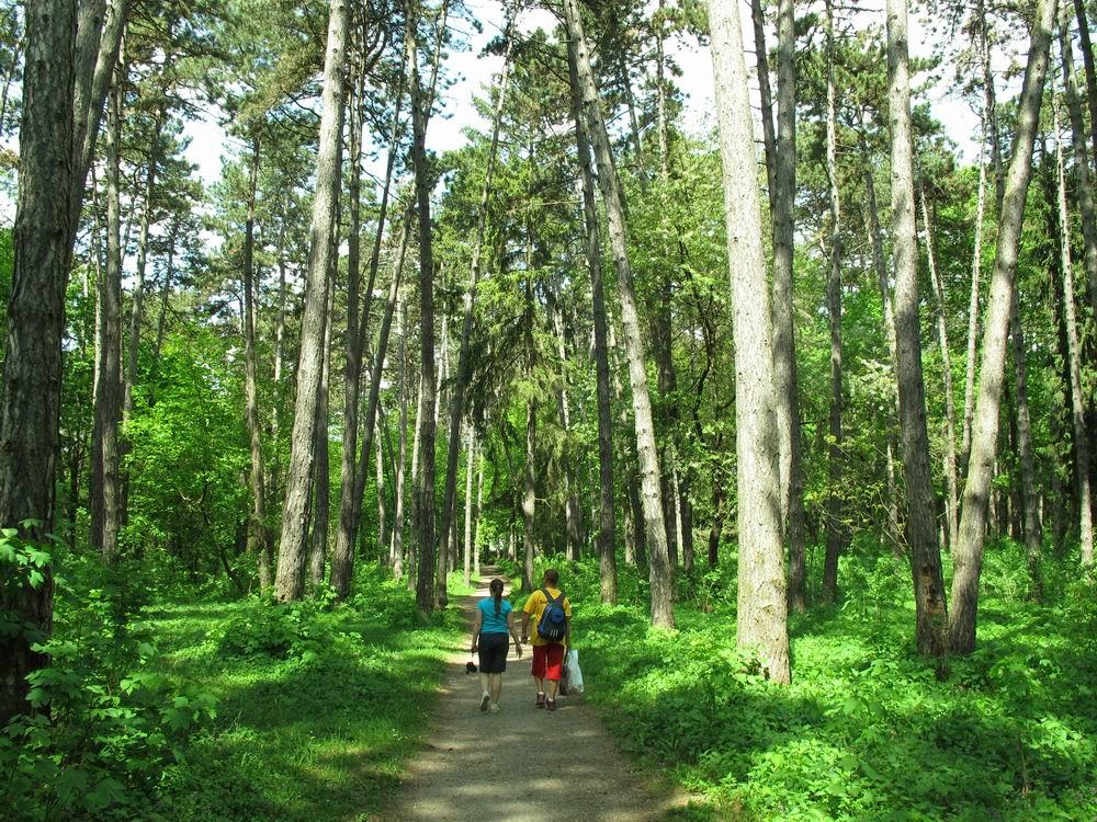 Теребовля з panoramio.com - Теребовля