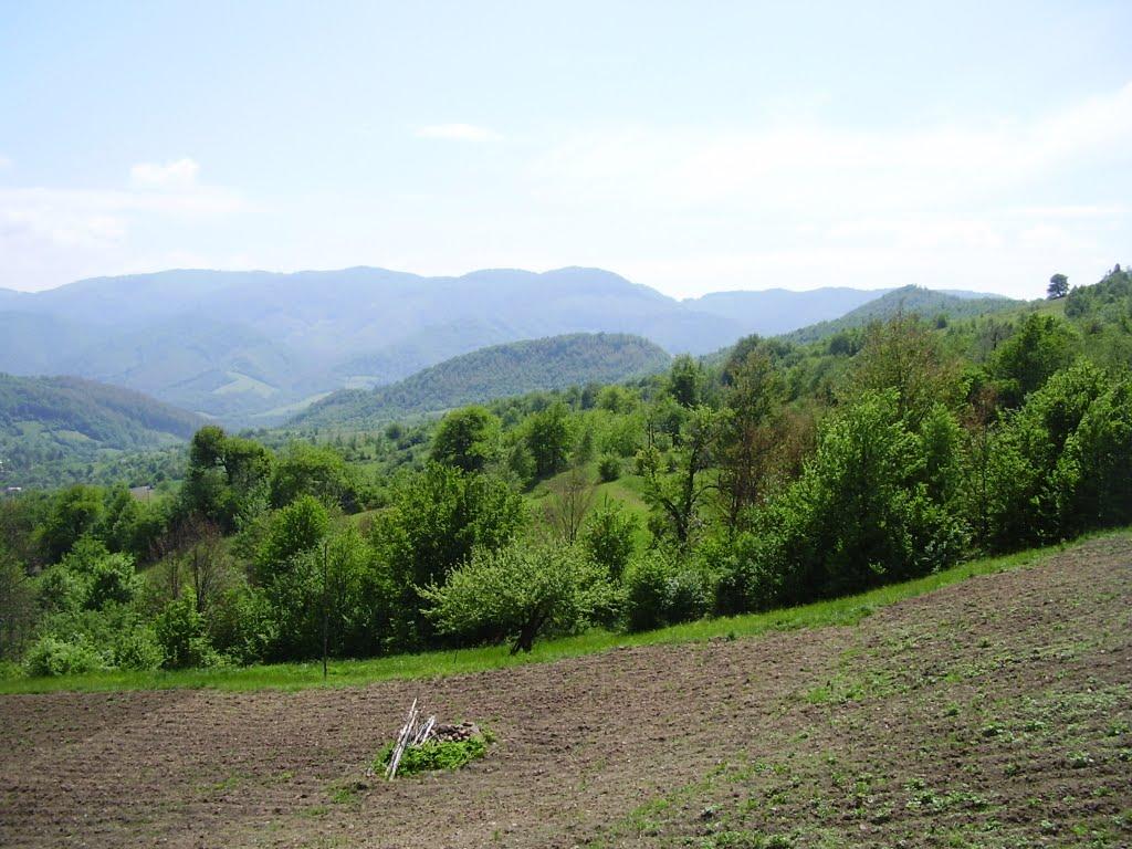 Домашин з panoramio.com - Домашин