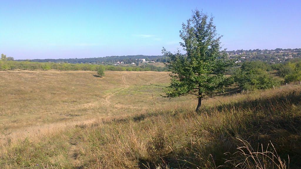 Люботин з panoramio.com (ч.2) - Lyubotyn