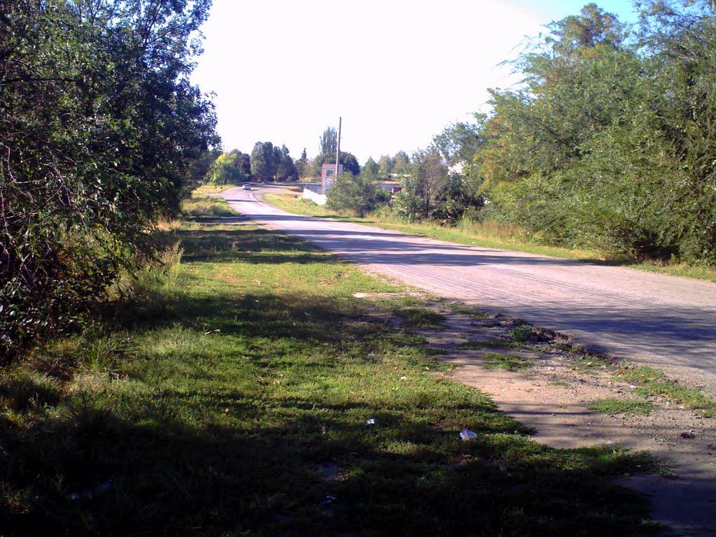 Солоне з panoramio.com - Солоне