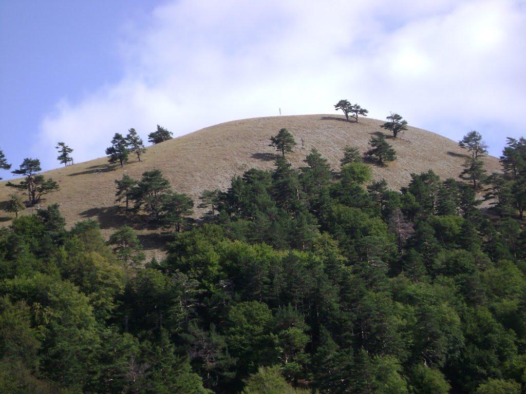 Запрудне з panoramio.com - Zaprudne