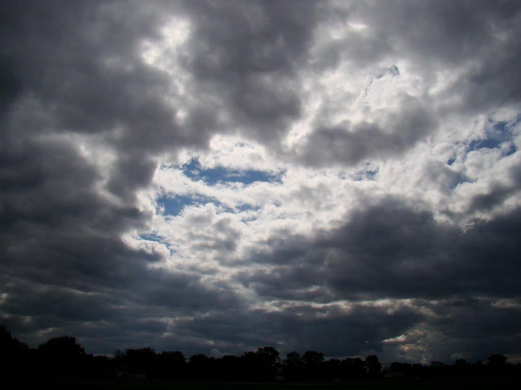 Червона Дача з panoramio.com - Червона Дача