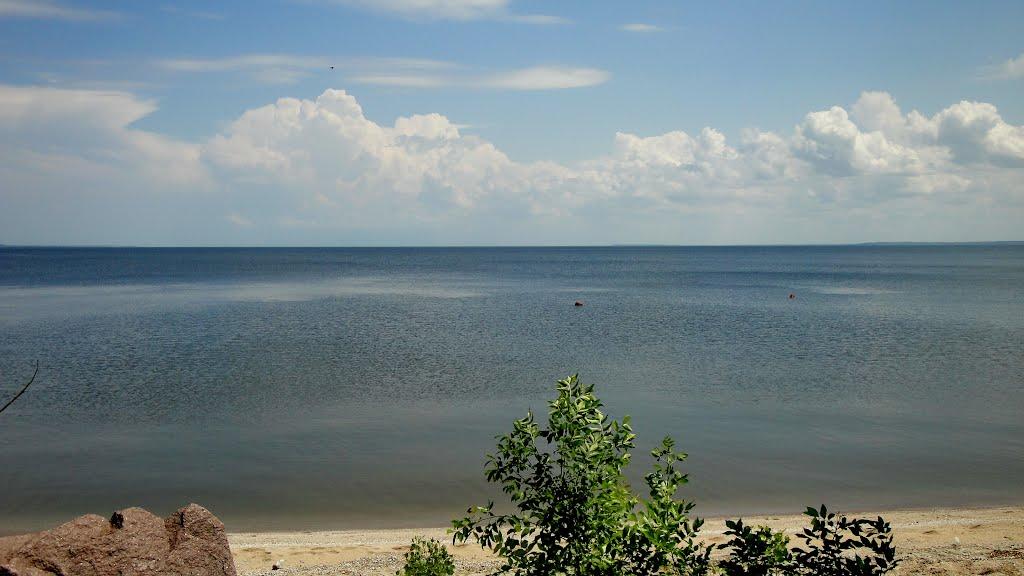 Нововоронцовка з panoramio.com - Нововоронцовка