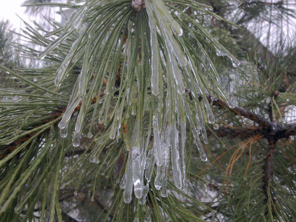 Кременівка з panoramio.com - Кременівка