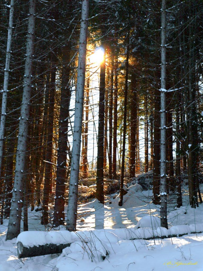 Микуличин з panoramio.com (ч.2) - Микуличин