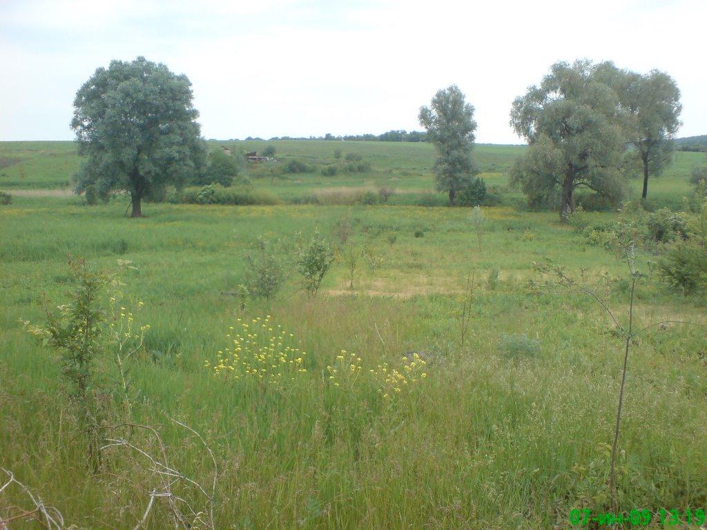 Черкаська Лозова з panoramio.com - Черкасская Лозовая