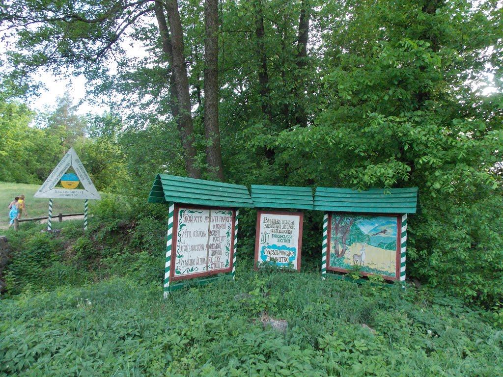 Дмитренки з panoramio.com - Дмитренки