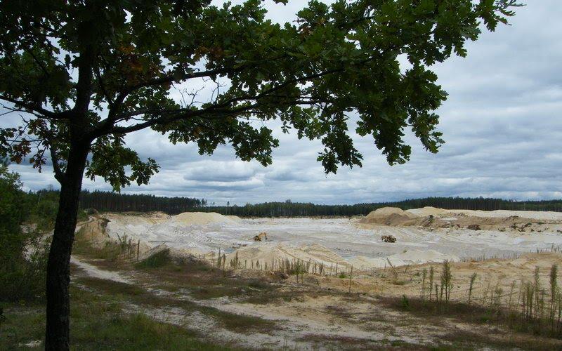 Грибова Рудня з panoramio.com - Грибова Рудня