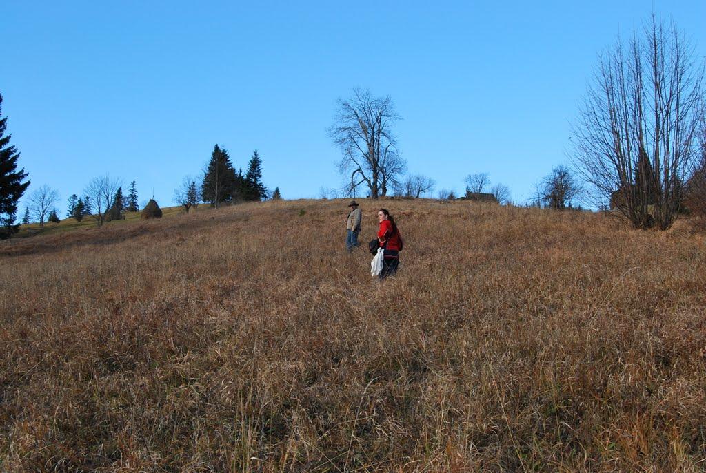 Фальків з panoramio.com (ч.2) - Фальків