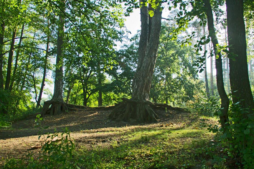 Климентове з panoramio.com - Климентово