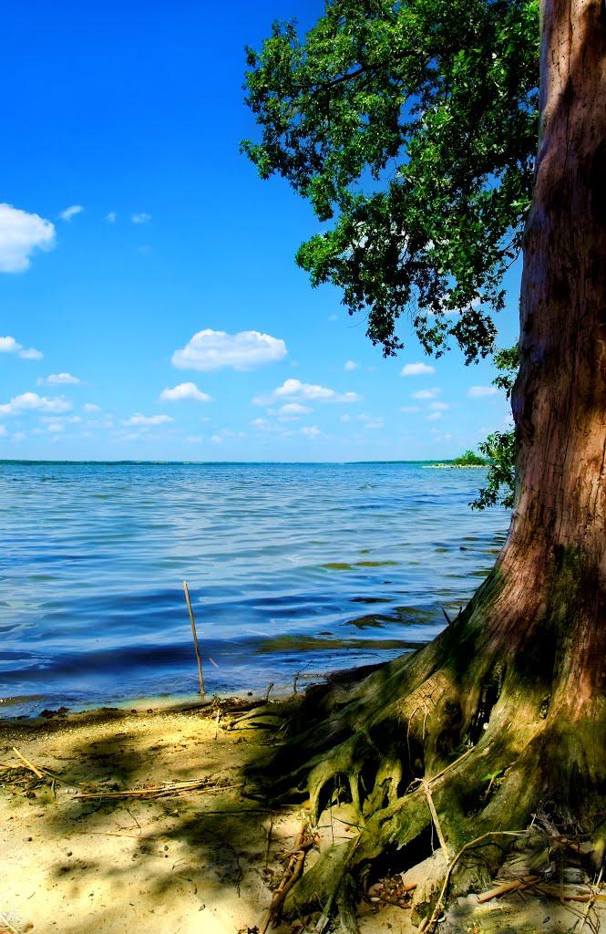 Вільне з panoramio.com - Вольное