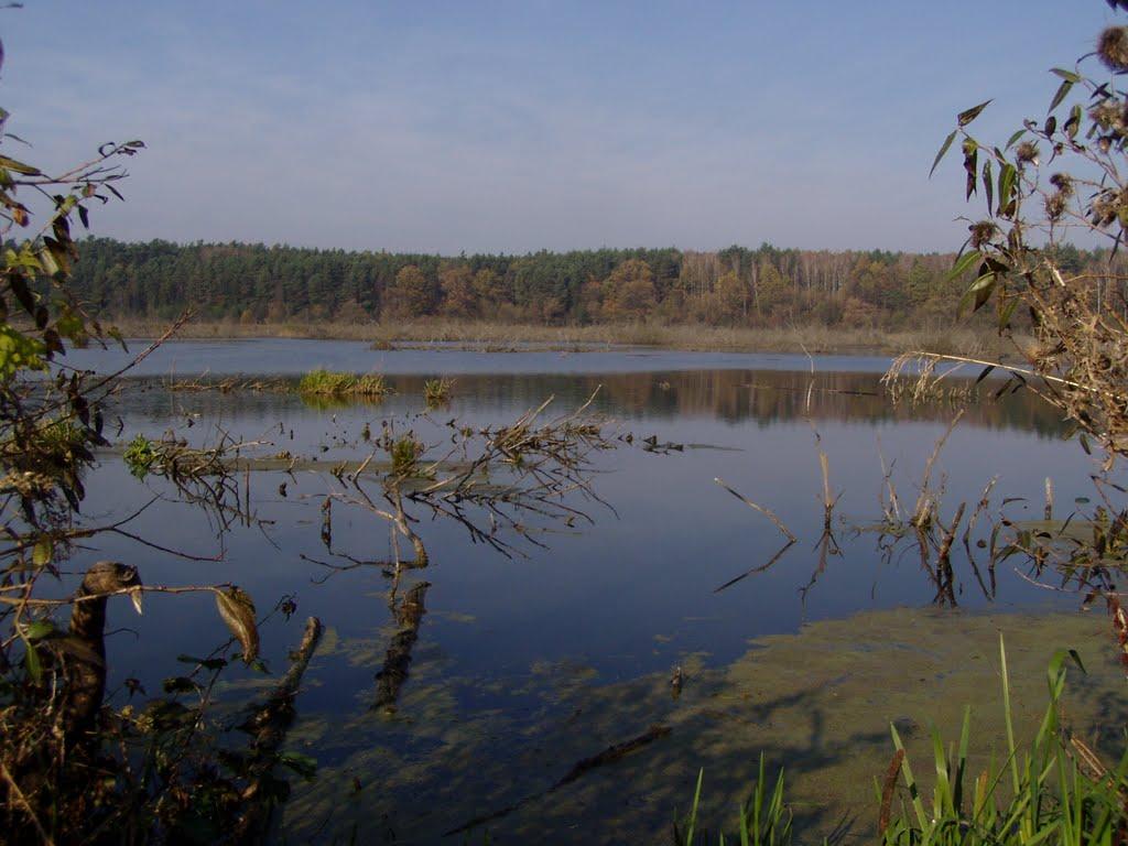 Руда-Красна з panoramio.com - Руда-Красна