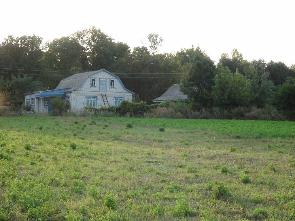 Люлинці з panoramio.com - Люлинцы