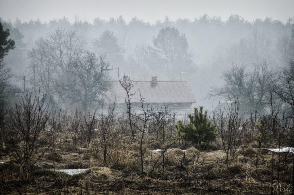 Грибова Рудня з panoramio.com - Грибова Рудня
