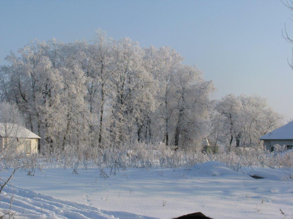 Припутні з panoramio.com - Pryputni