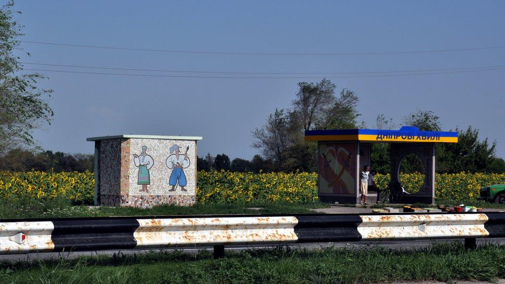 Миколай-Поле з panoramio.com - Миколай-Поле