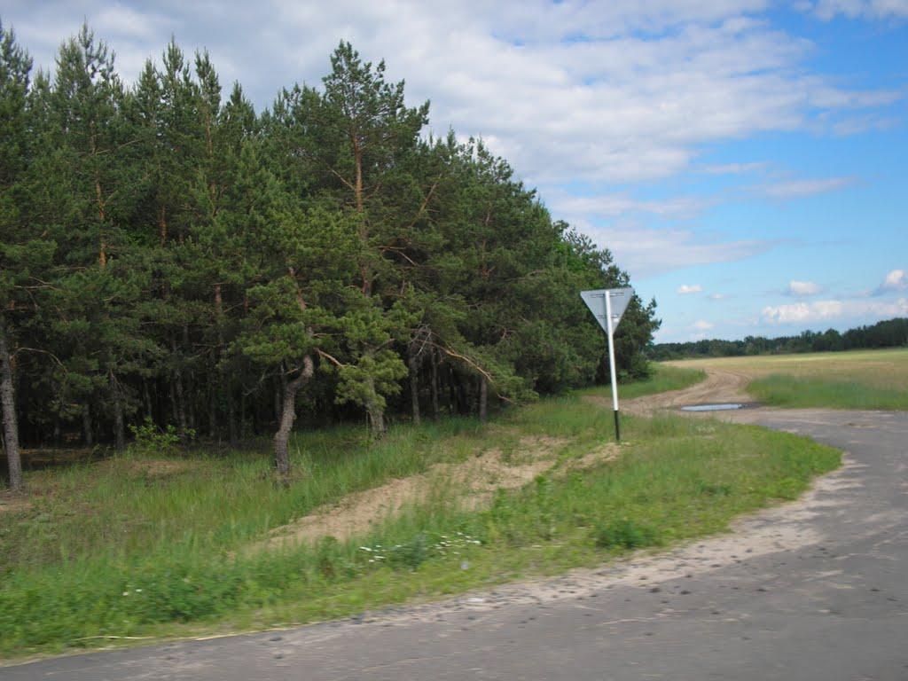 Губичі з panoramio.com - Губичі