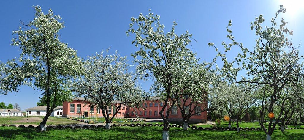 Сквира з panoramio.com - Сквира