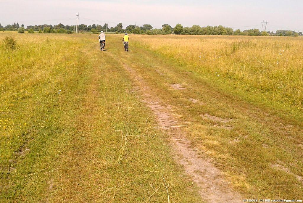 Липів Ріг з panoramio.com - Липів Ріг