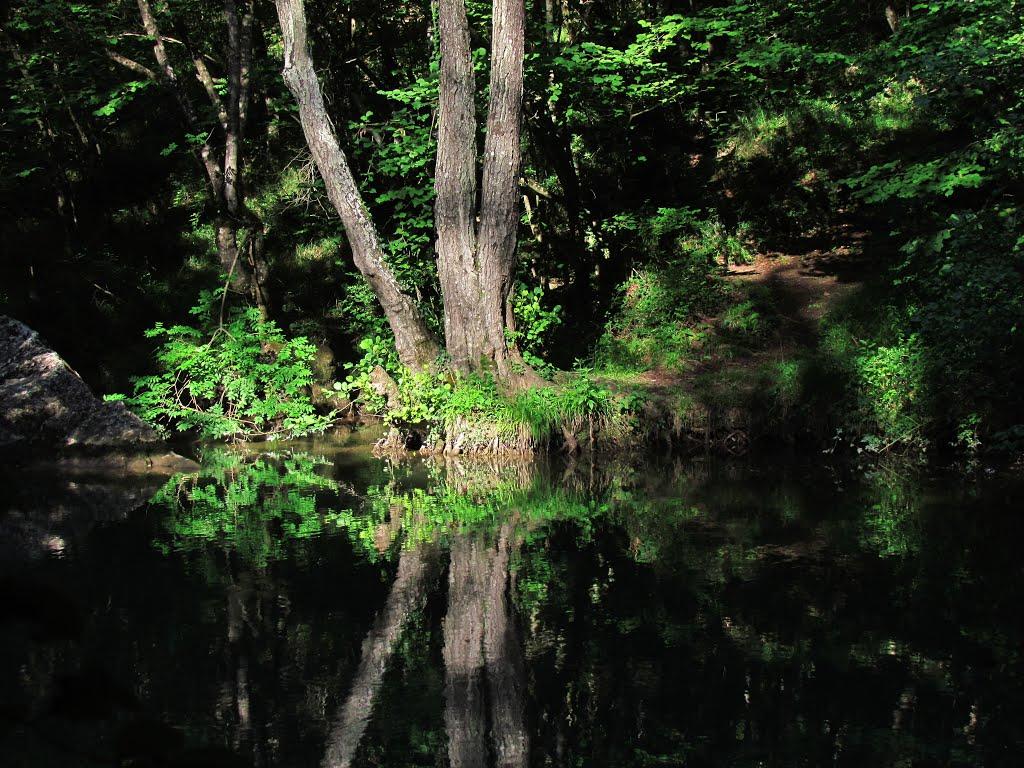 Гончарне з panoramio.com - Гончарне