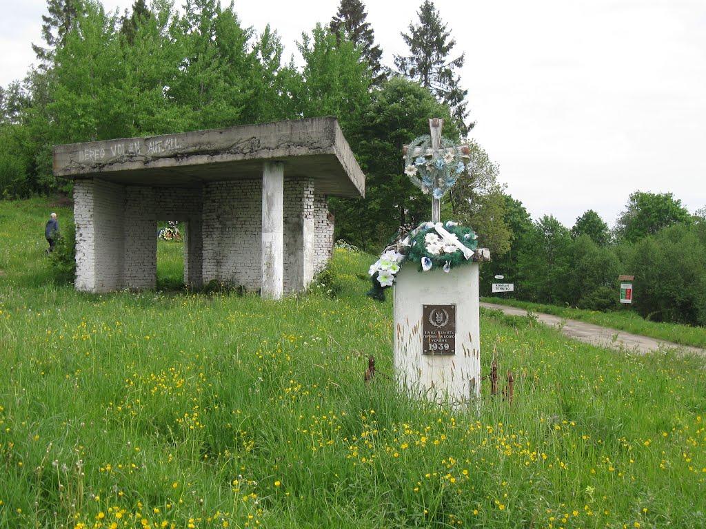 Климець з panoramio.com - Климець