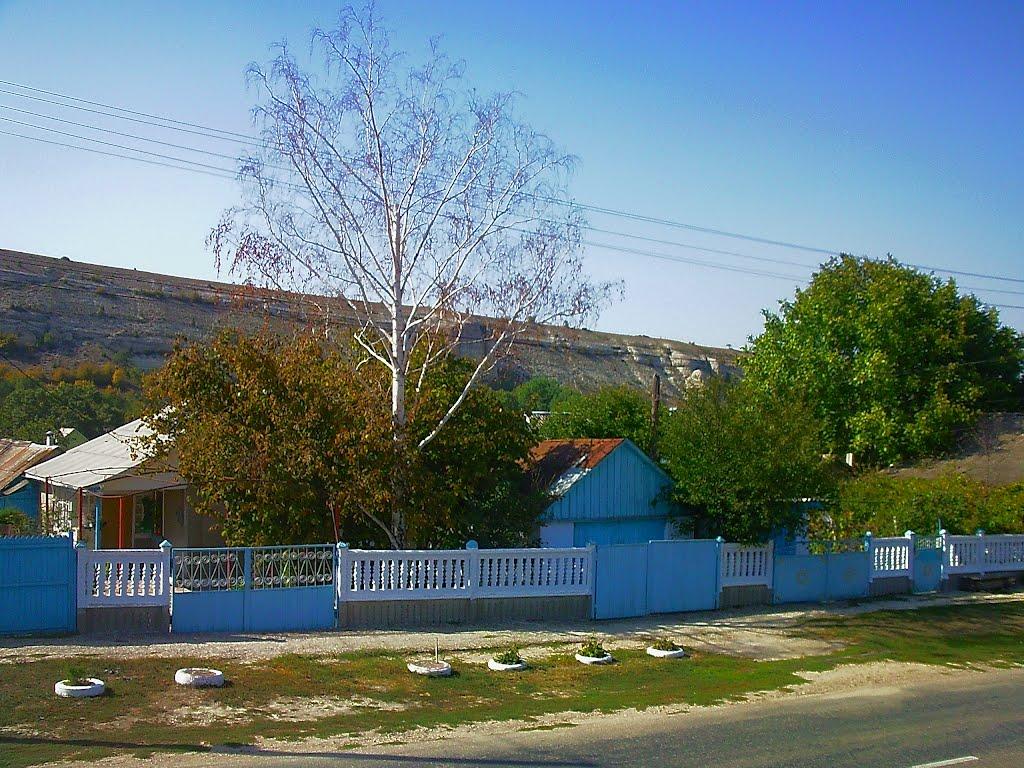 Красний Мак з panoramio.com - Красный Мак