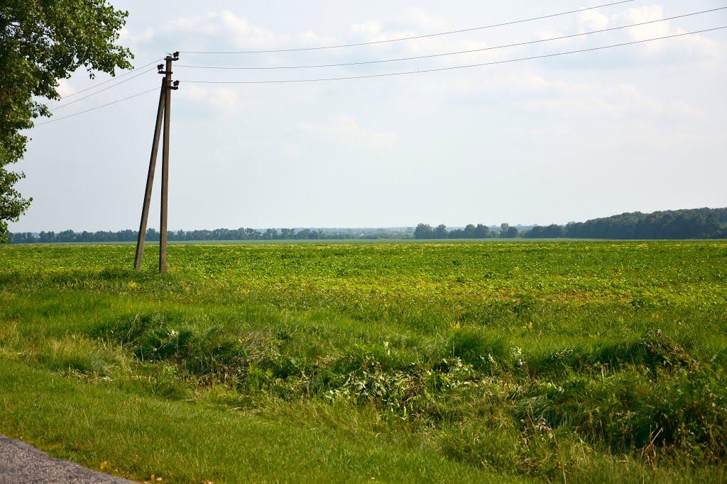 Великополовецьке з panoramio.com - Velykopolovetske