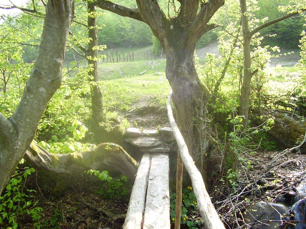 Домашин з panoramio.com - Домашин