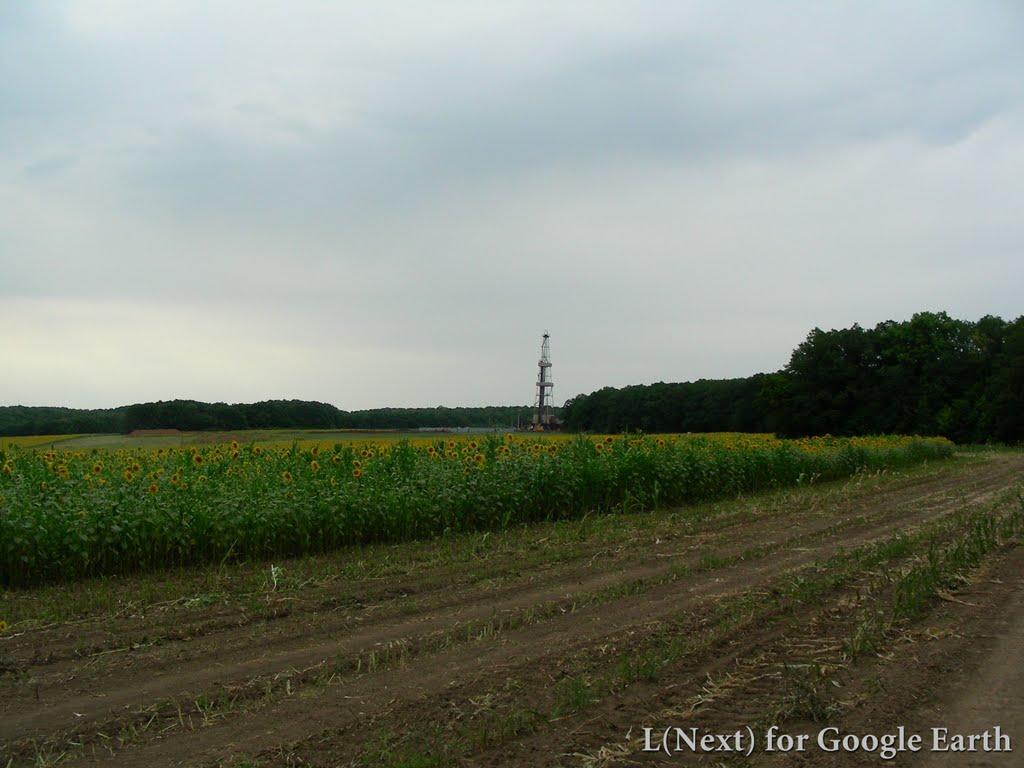 Верхня Озеряна з panoramio.com - Verkhnya Ozeryana