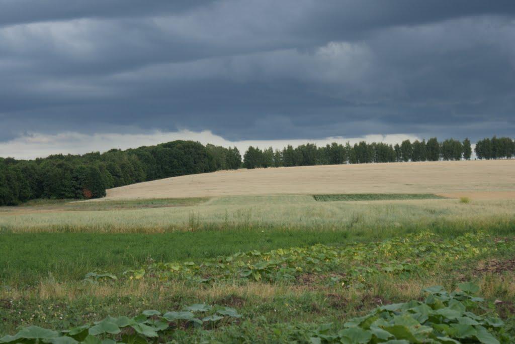 Перекопівка з panoramio.com - Perekopivka