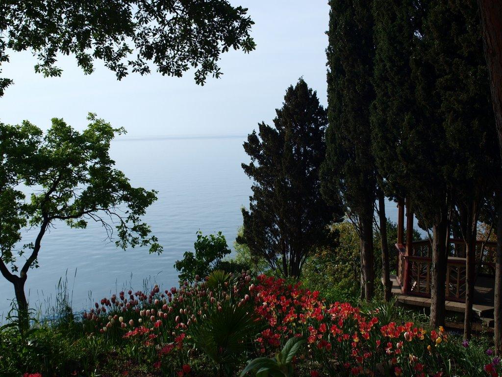 Лазурне з panoramio.com - Lazurne