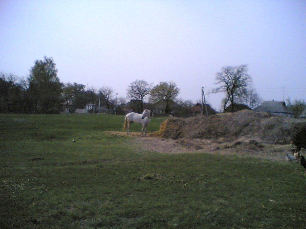 Хлистунівка з panoramio.com - Хлистунівка