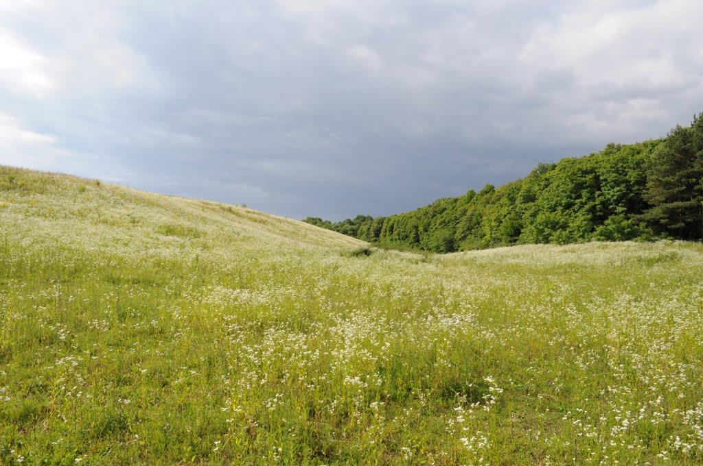 Заріцьк з panoramio.com - Заріцьк