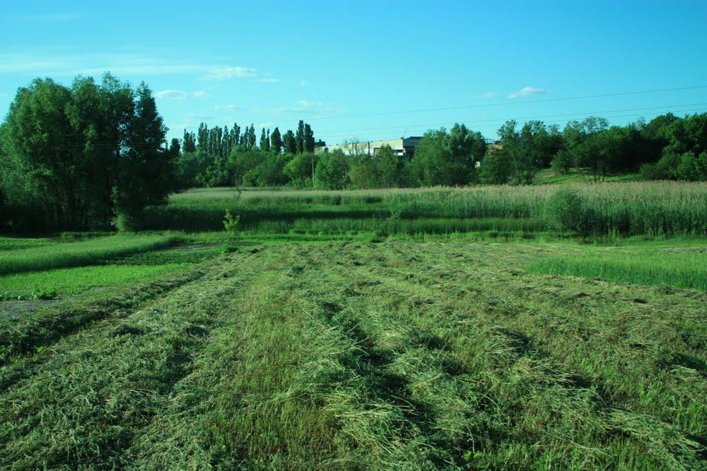 Хлистунівка з panoramio.com - Khlystunivka