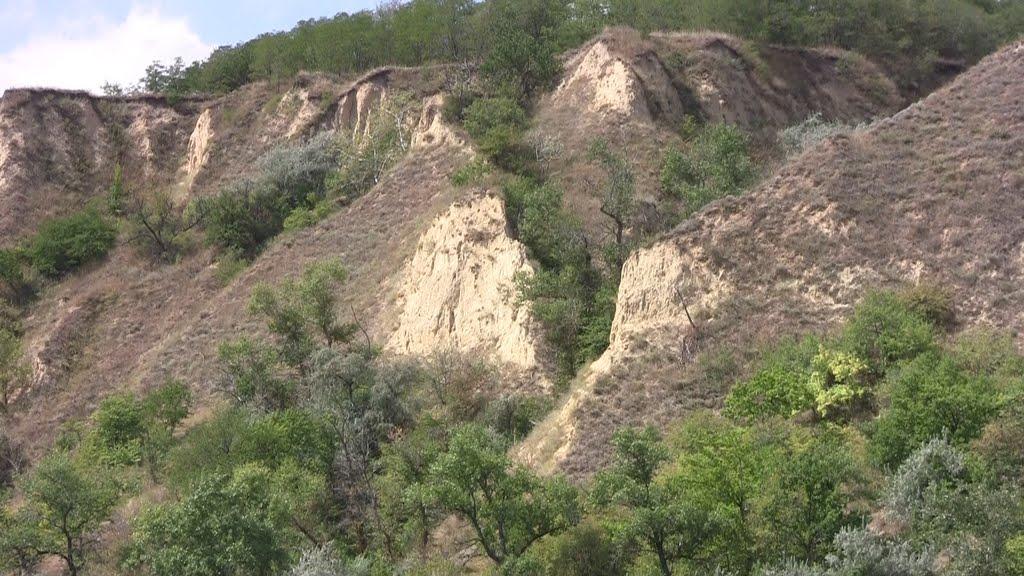 Вільховатка з panoramio.com - Вільховатка