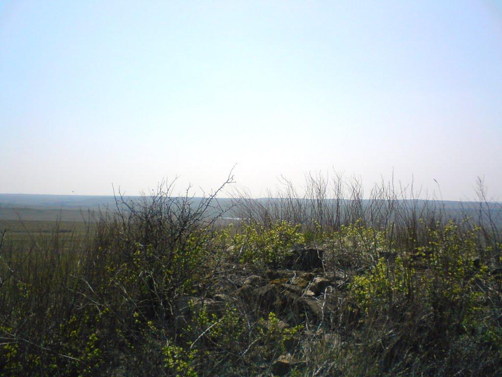 Верхньошевирівка з panoramio.com - Верхнешевыревка