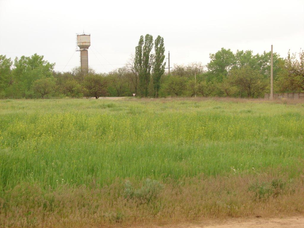 Кринки з panoramio.com - Кринки