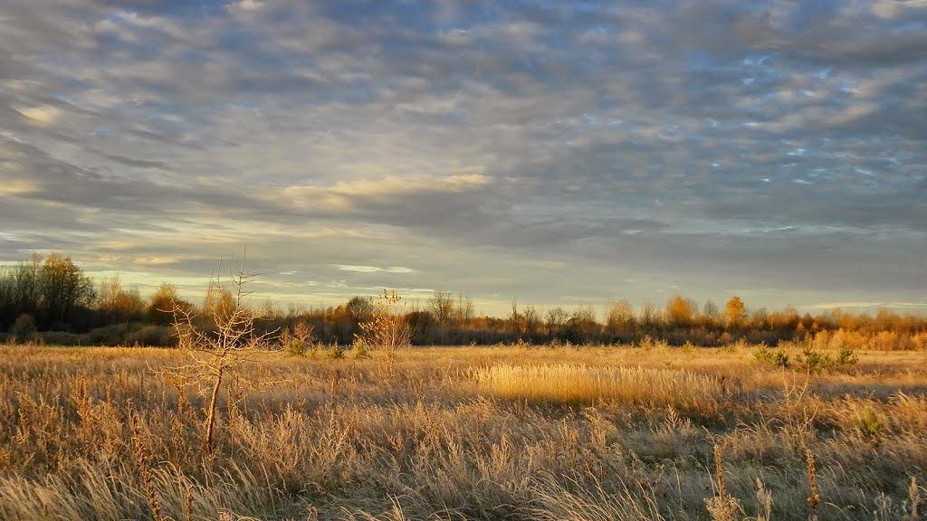 Грибова Рудня з panoramio.com - Грибова Рудня