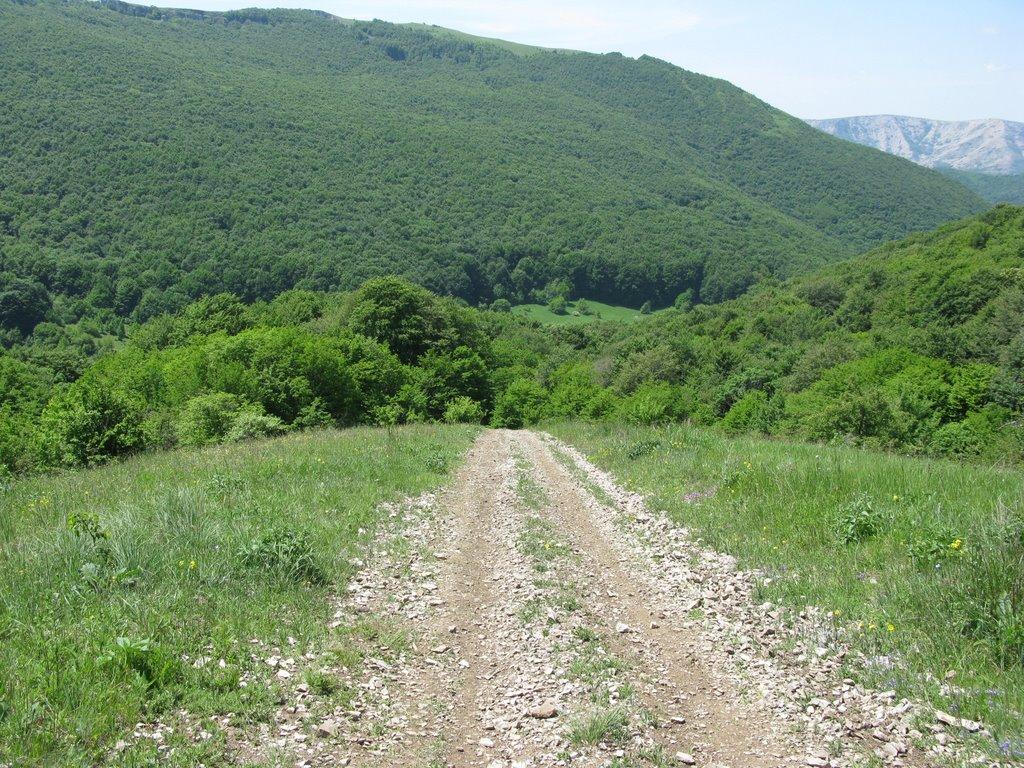 Чайковське з panoramio.com (ч.2) - Чайковське