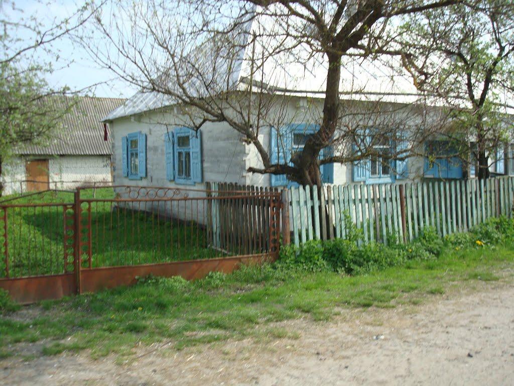 Дроздні з panoramio.com - Drozdni