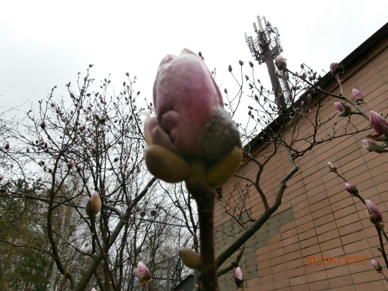 місто Звенигородка - Звенигородка