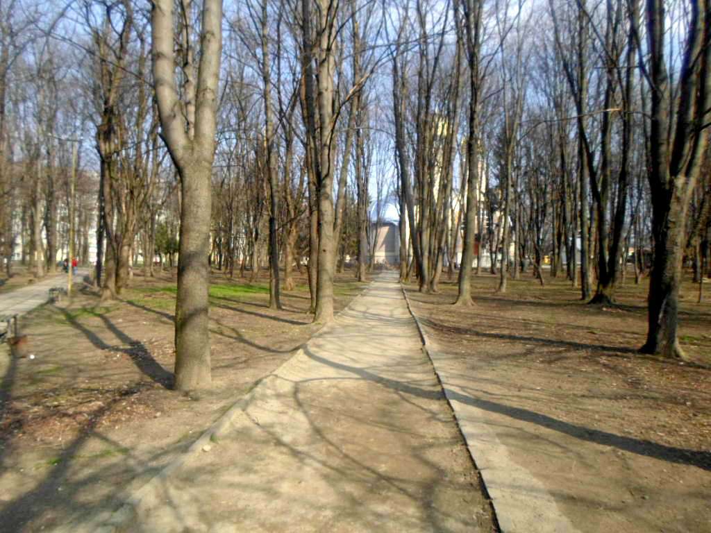 парки - Стрый
