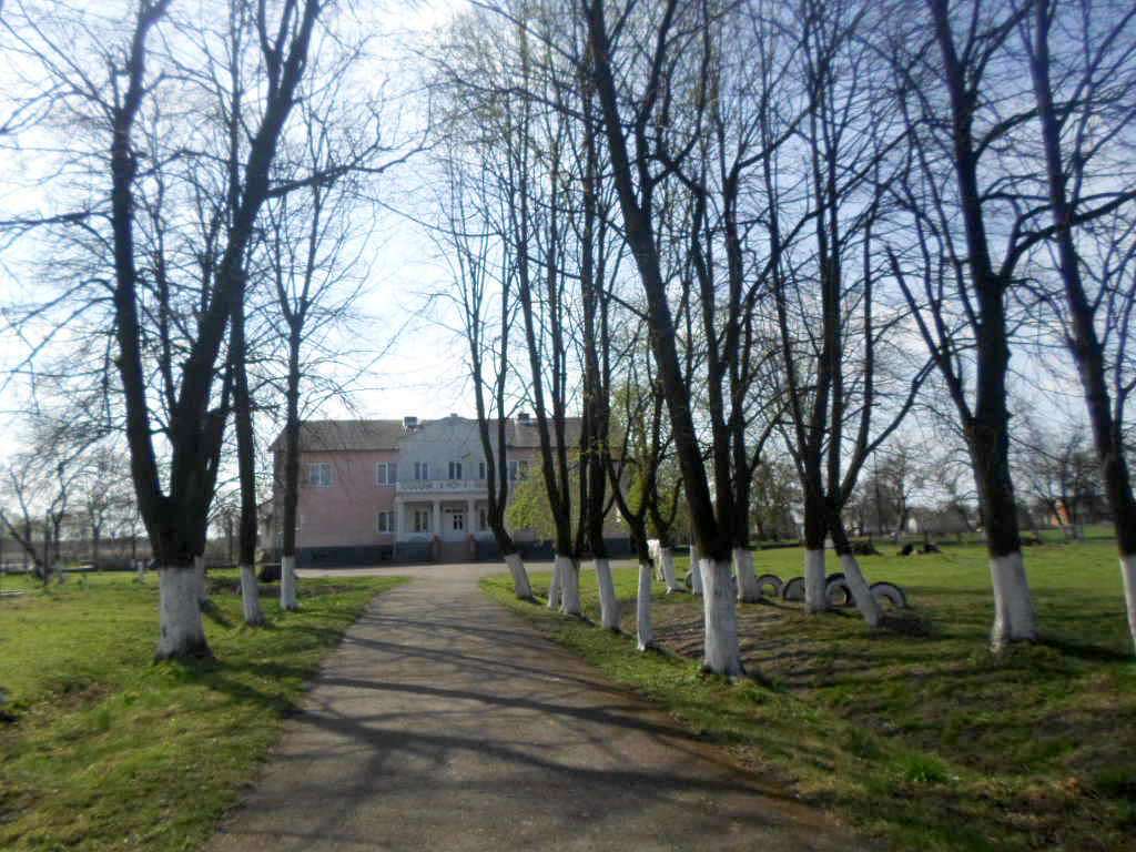 школа - Derzhiv