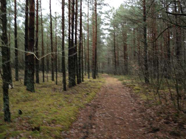 Природа - Тумень