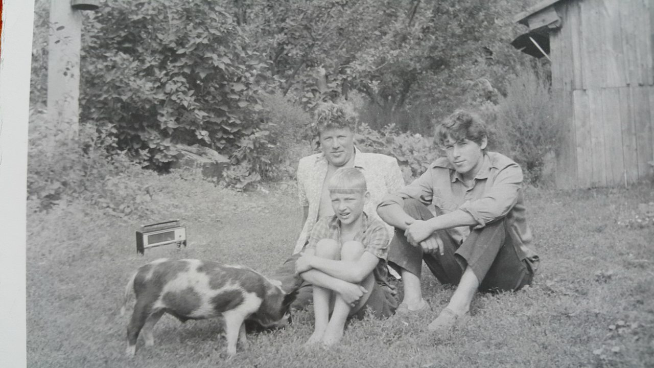 Перевозчане - Перевіз