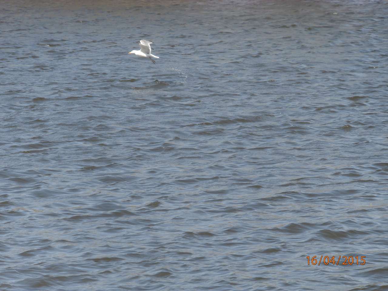 Молодецьке - 21 вік - Молодецьке