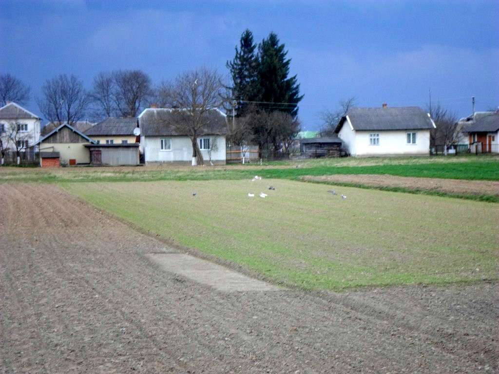 краєвид - Тейсарів