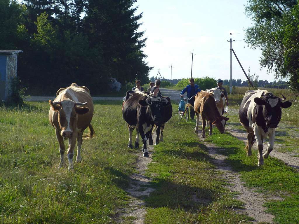 Колюхів та люди - Колюхов