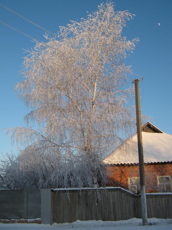 Червоне з panoramio.com - Chervone