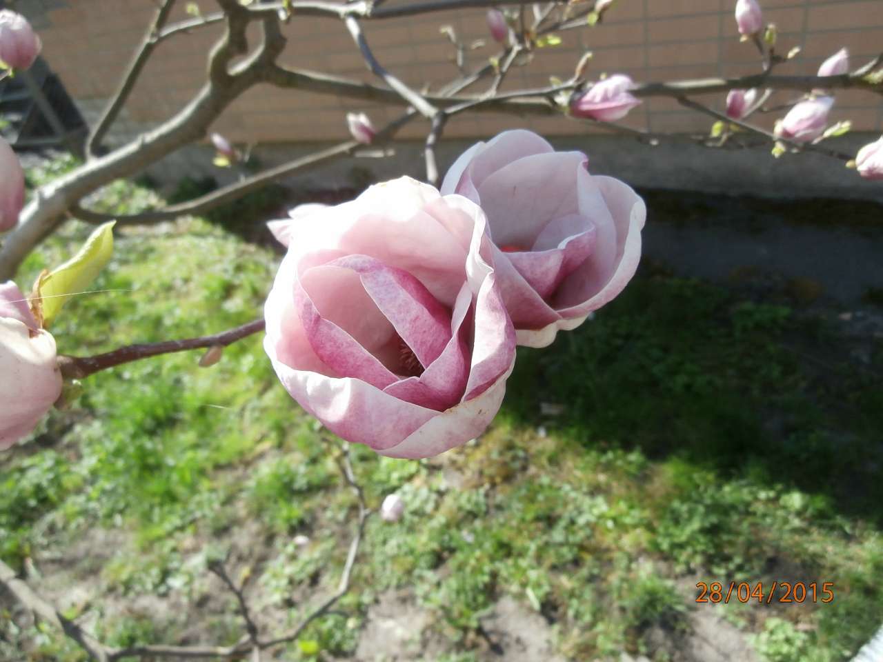 місто Звенигородка - Звенигородка